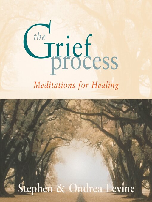 Title details for The Grief Process by Ondrea Levine - Available